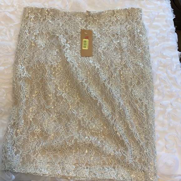 Cremieux Cody Skirt Silver/Taupe Sparkle Lined Midi Length, Lined, Size Medium - Picture 14 of 14